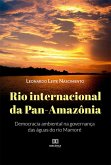 Rio internacional da Pan-Amazônia (eBook, ePUB)
