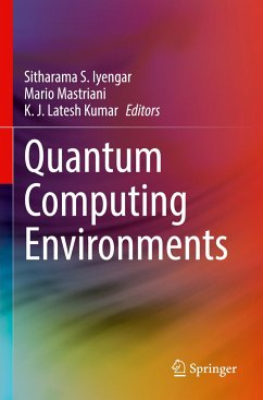 Quantum Computing Environments