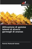 Attivazione di gemme latenti di diversi germogli di ananas