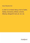 A Little Tur in Ireland: Being a Visit to Dublin, Galway, Connamara, Athlone, Limerick, Killarney, Glengarriff, Cork, etc. etc. etc.