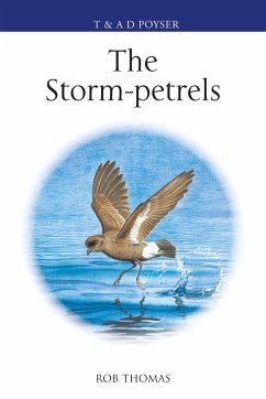 The Storm-petrels - Thomas, Rob