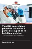 Viabilité des cellules pulpaires obtenues à partir de coupes de la troisième molaire.