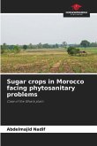 Sugar crops in Morocco facing phytosanitary problems