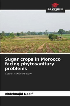 Sugar crops in Morocco facing phytosanitary problems - Nadif, Abdelmajid
