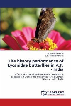 Life history performance of Lycanidae butterflies in A.P. - India