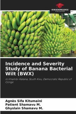 Incidence and Severity Study of Banana Bacterial Wilt (BWX) - Sifa Kitumaini, Agnès;Shamavu M., Patient;Shamavu M., Ghyslain