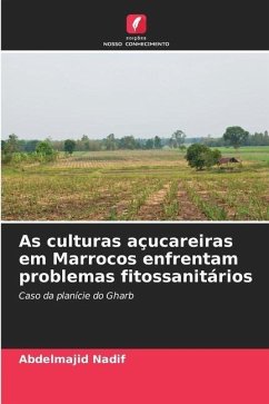 As culturas açucareiras em Marrocos enfrentam problemas fitossanitários - Nadif, Abdelmajid