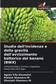 Studio dell'incidenza e della gravità dell'avvizzimento batterico del banano (BWX)