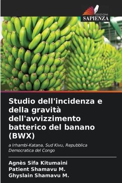 Studio dell'incidenza e della gravità dell'avvizzimento batterico del banano (BWX) - Sifa Kitumaini, Agnès;Shamavu M., Patient;Shamavu M., Ghyslain
