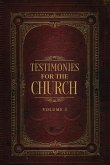 Testimonies for the Church Volume 3