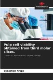 Pulp cell viability obtained from third molar slices.