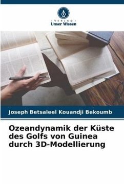 Ozeandynamik der Küste des Golfs von Guinea durch 3D-Modellierung - Kouandji Bekoumb, Joseph Betsaleel