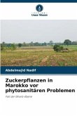 Zuckerpflanzen in Marokko vor phytosanitären Problemen