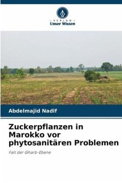 Zuckerpflanzen in Marokko vor phytosanitären Problemen - Nadif, Abdelmajid