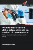 Vitalità delle cellule della polpa ottenuta da sezioni di terzo molare.