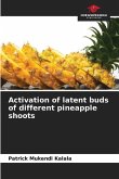 Activation of latent buds of different pineapple shoots