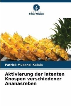 Aktivierung der latenten Knospen verschiedener Ananasreben - Mukendi Kalala, Patrick