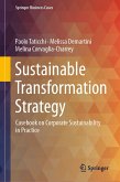 Sustainable Transformation Strategy (eBook, PDF)