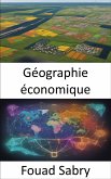 Géographie économique (eBook, ePUB)