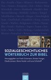 Sozialgeschichtliches Wörterbuch zur Bibel (eBook, PDF)