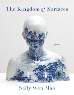 Cover The Kingdom of Surfaces (eBook, ePUB)