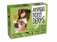 Animals Being Derps 2024 Day-To-Day Calendar - Jenkins, Beverly L