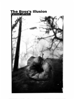The Boss's Illusion (eBook, ePUB) - Ansari, Farhad