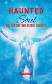 Haunted Soul: Chaser Twin Flame (eBook, ePUB)