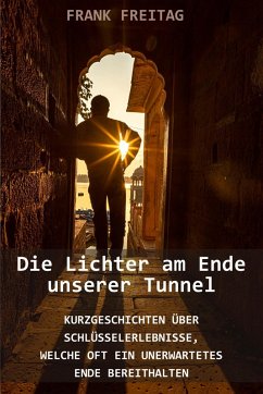 Die Lichter am Ende unserer Tunnel (eBook, ePUB) - Freitag, Frank