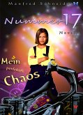 Nummer 17 - mein perfektes Chaos (eBook, ePUB)