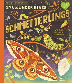 Das Wunder eines Schmetterlings - Wie sich die Natur verwandelt - Ignotofsky, Rachel