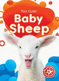 Cover Baby Sheep