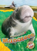 Manatees