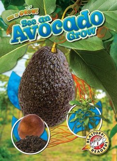 See an Avocado Grow - Chang, Kirsten