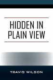 Hidden in Plain View