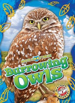 Burrowing Owls - Barnes, Rachael