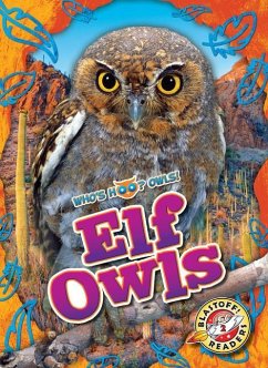 Elf Owls - Neuenfeldt, Elizabeth