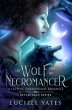 The Wolf and the Necromancer - Bild 1
