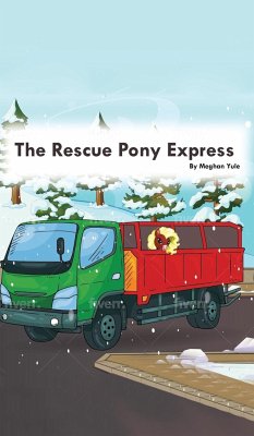 The Rescue Pony Express - Yule, Meghan