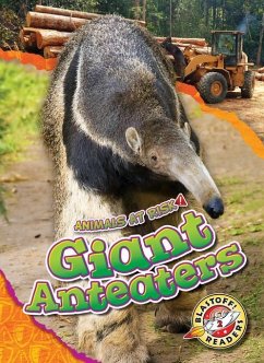 Giant Anteaters - Grack, Rachel