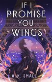 If I Promise You Wings (eBook, ePUB)
