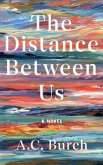 The Distance Between Us (eBook, ePUB)