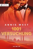 1001 Versuchung (eBook, ePUB)