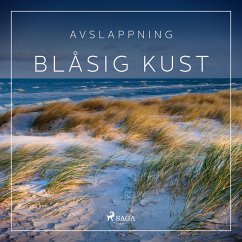 Avslappning - Blåsig kust (MP3-Download) - Broe, Rasmus