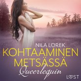 Queerlequin: Kohtaaminen metsässä (MP3-Download)