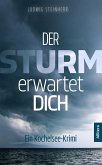 Der Sturm erwartet dich (eBook, ePUB)