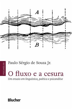 O fluxo e a cesura (eBook, ePUB) - Souza Jr., Paulo Sérgio de