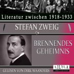 Brennendes Geheimnis (MP3-Download)