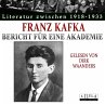 Ein Bericht für eine Akademie... - Bild 1