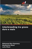 Interbreeding tra grano duro e mais